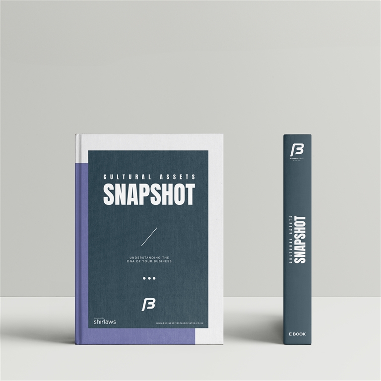 Cultural Asset Snapshot